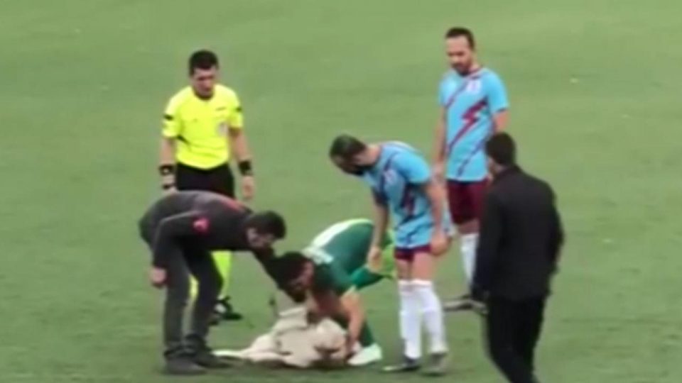 Sahaya giren köpek maçın gecikmesine neden oldu